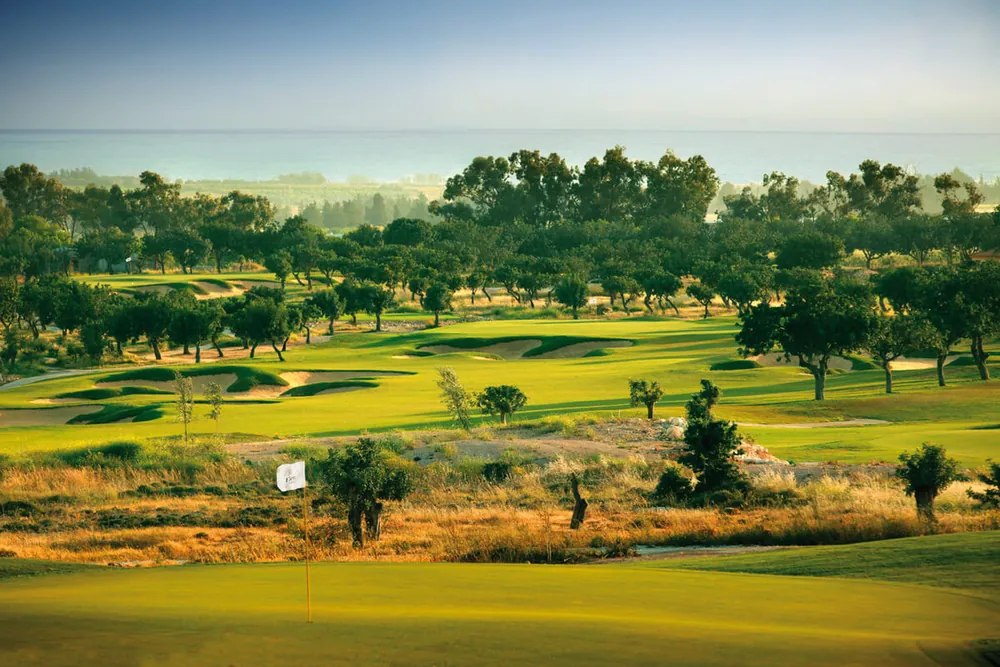 Fairways and olive groves at Elea Golf Club, Cyprus